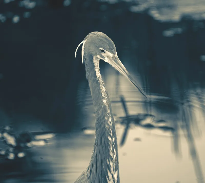 Photograph 15
